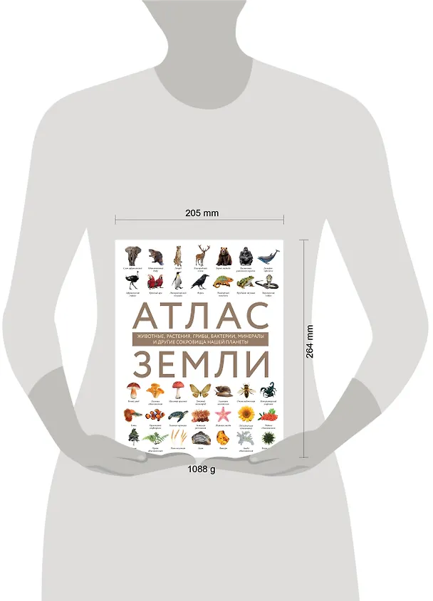 Книга Атлас Земли. Животные, растения, грибы, бактерии, минералы и другие сокровища нашей планеты (Регина Михайлова) — 15