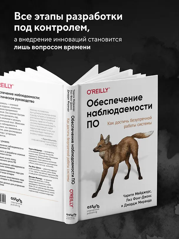 Книга Обеспечение наблюдаемости ПО. Как достичь безупречной работы системы (Чарити Мейджорс, Лиз Фонг-Джонс, Джордж Миранда) — 6