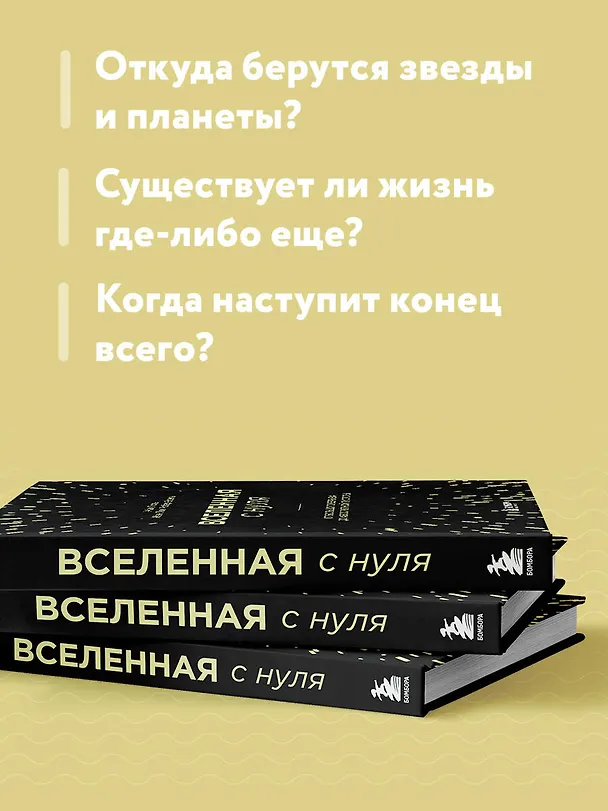 Книга Вселенная с нуля. От большого взрыва до абсолютной пустоты (Жан-Люк Робер-Эсиль, Жак Поль) — 8