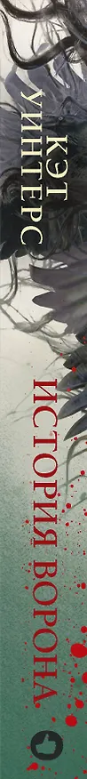 Книга История ворона (Кэт Уинтерс) — 3