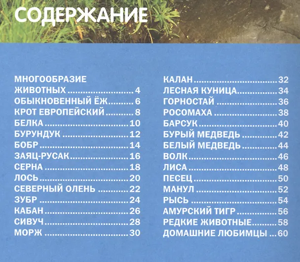 Книга Животный мир России. Энциклопедия для детей (С. Рублев) — 2