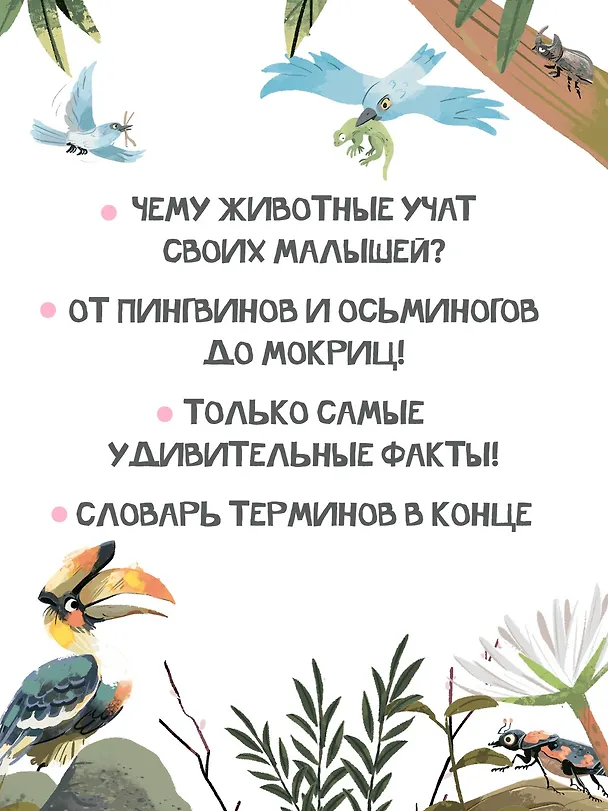 Книга Семья в мире животных. Любовь, забота и воспитание в дикой природе (Доменико Текноченци) — 8