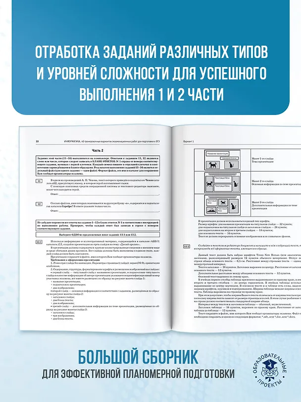 Книга ОГЭ-2026. Информатика. 40 тренировочных вариантов экзаменационных работ для подготовки к основному государственному экзамену (Денис Ушаков) — 8