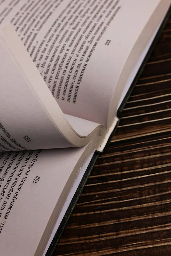 Книга Принцип карате (Данил Корецкий) — 12
