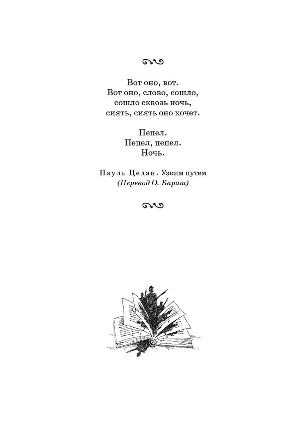 Книга Чернильное сердце (Корнелия Функе) — 16