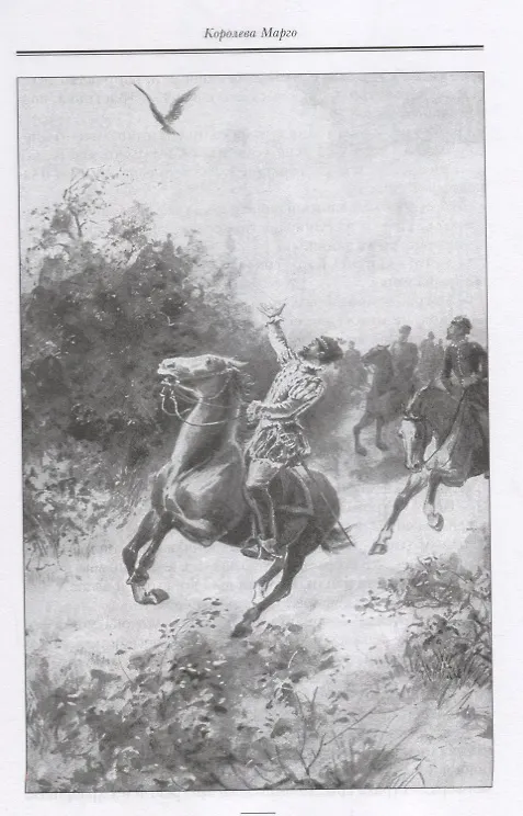 Книга Королева Марго (Александр Дюма (отец)) — 8