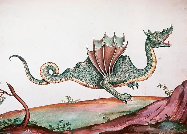 Книга Магические животные. Легенды и суеверия (Дениз Кроль-Терзаги) — 11