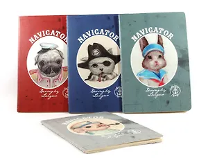 Блокнот Navigator (4 цвета) (5857) (Небесный дракон)