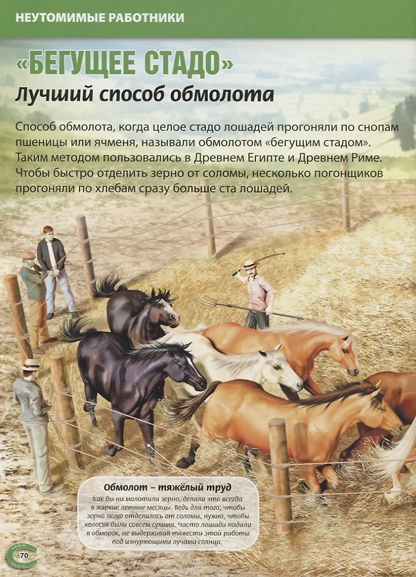Книга Всё о лошадях. Самая красивая энциклопедия (МЕЛОВКА) (Херардо Анидо) — 4