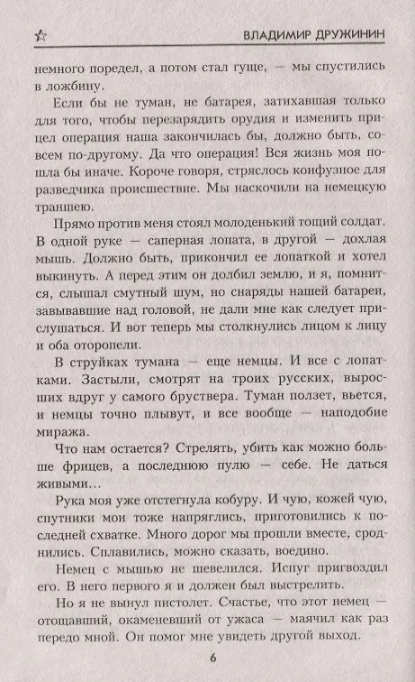Книга Янтарная комната (Владимир Дружинин) — 5