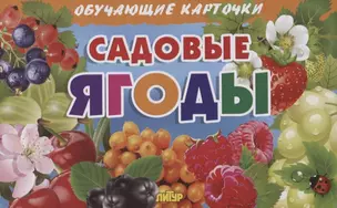 Садовые ягоды. Обучающие карточки — 2723254 — 1