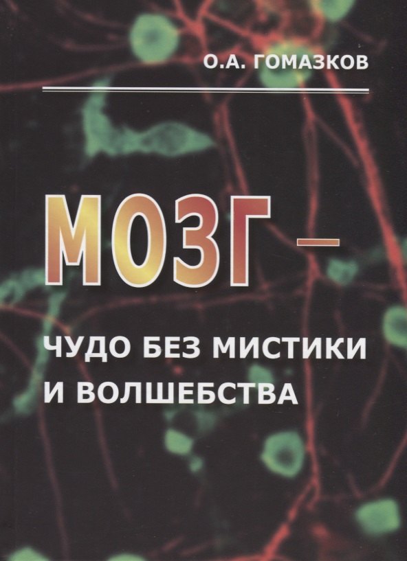 

Мозг – чудо без мистики и волшебства