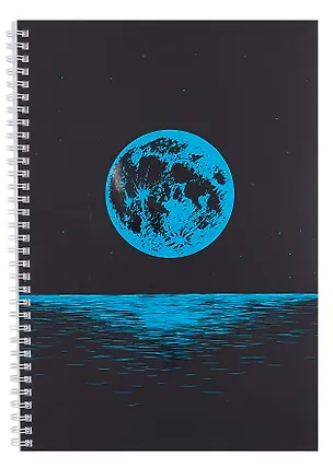 Тетрадь А4 80л кл. "Лунная дорожка" евроспираль, мелов.картон, пантонн.печать, выб.лак 3083990