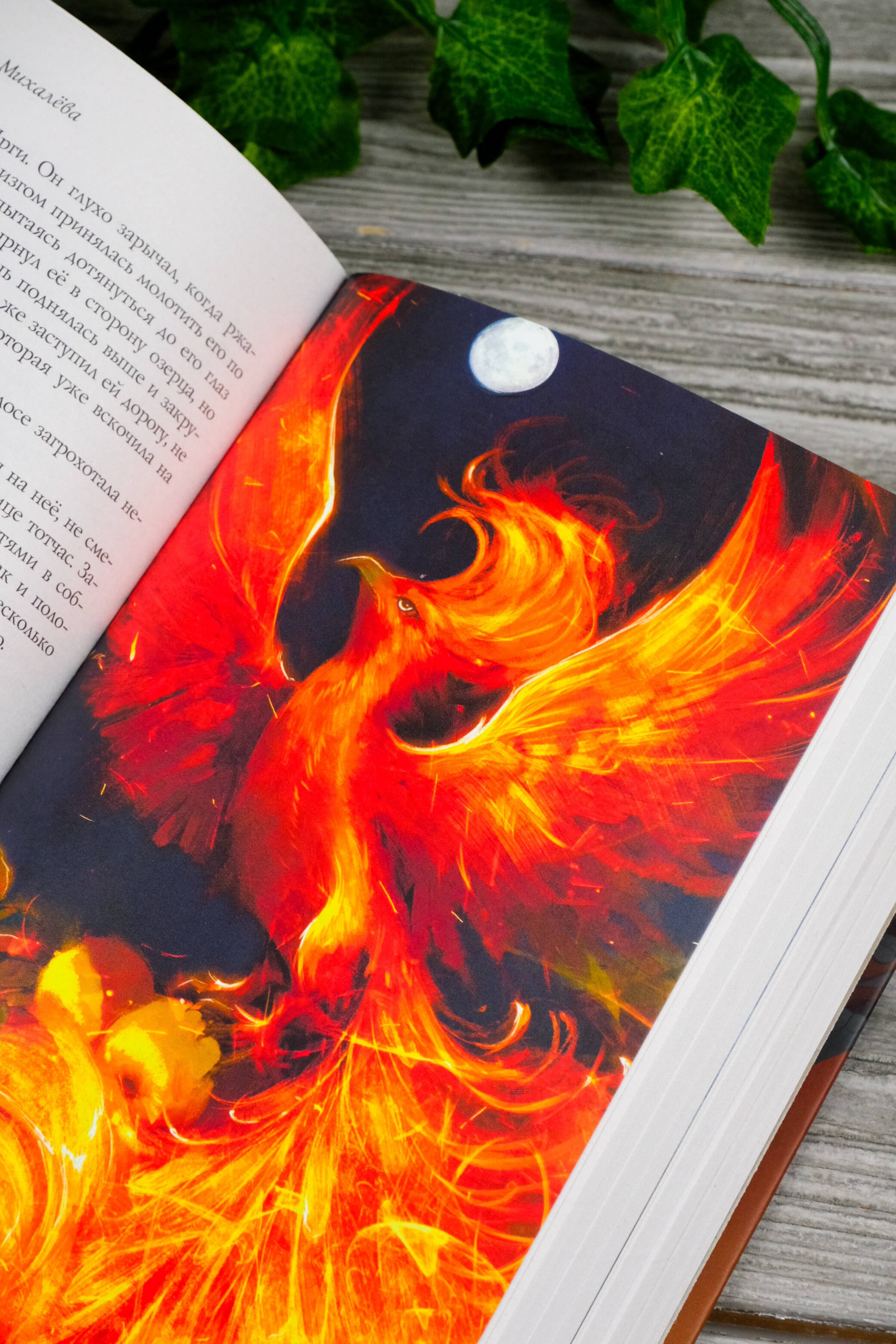 Изображение бумажной книги