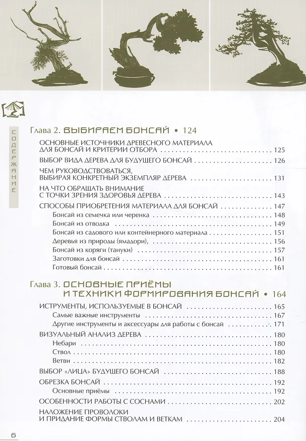 Книга Бонсай. Маленькие деревья для большой радости (Андрей Дарусенков) — 3