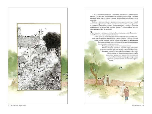 Книга Звездная пыль (Чарльз Весс, Нил Гейман) — 3