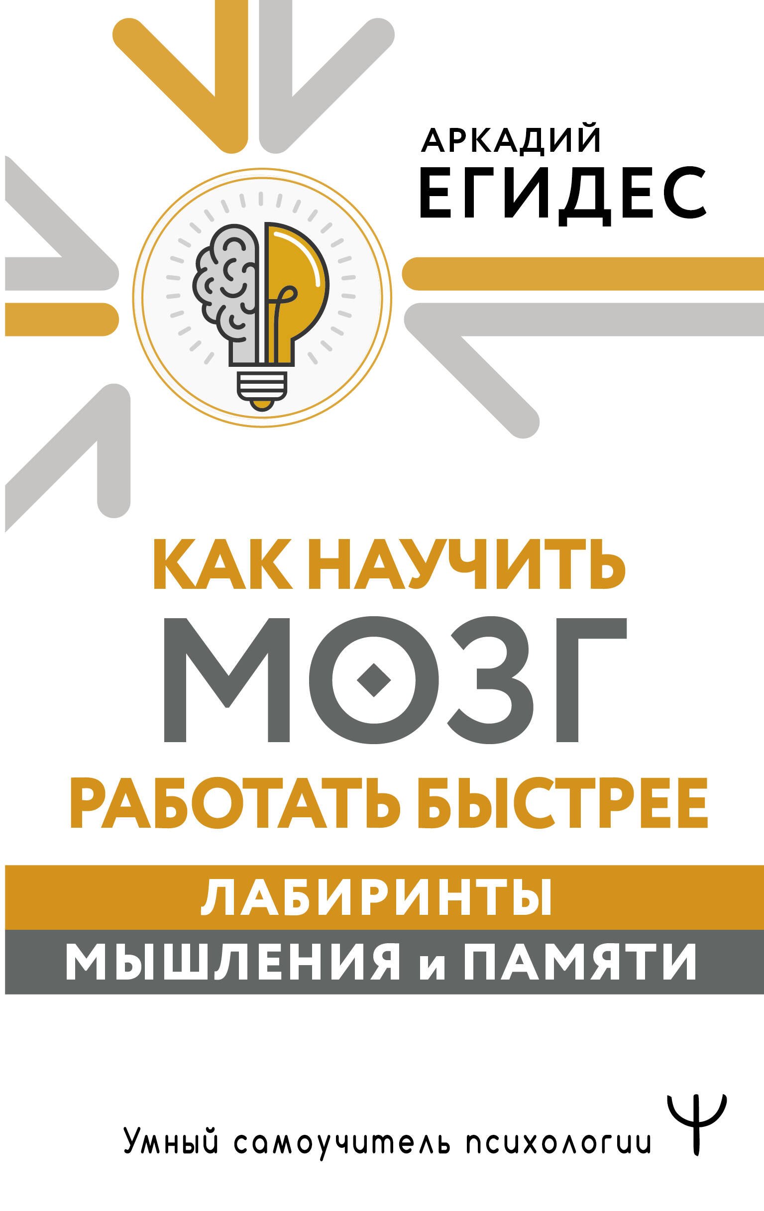 

Как научить мозг работать быстрее. Лабиринты мышления и памяти