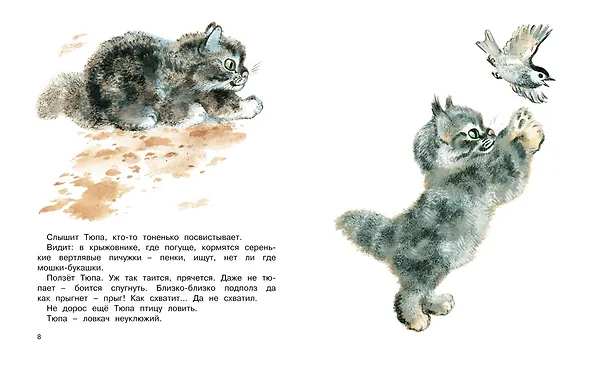 Книга Друзья (Евгений Чарушин) — 3