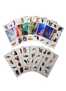 Игра, Лото детское, Зоопарк