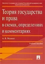 Теория государства и права в схемах, определениях и комментариях: Учебное пособие — 2147579 — 1