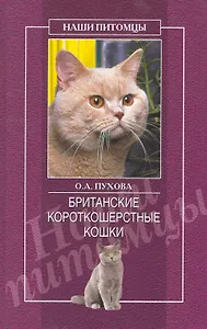 Британские короткошерстные кошки