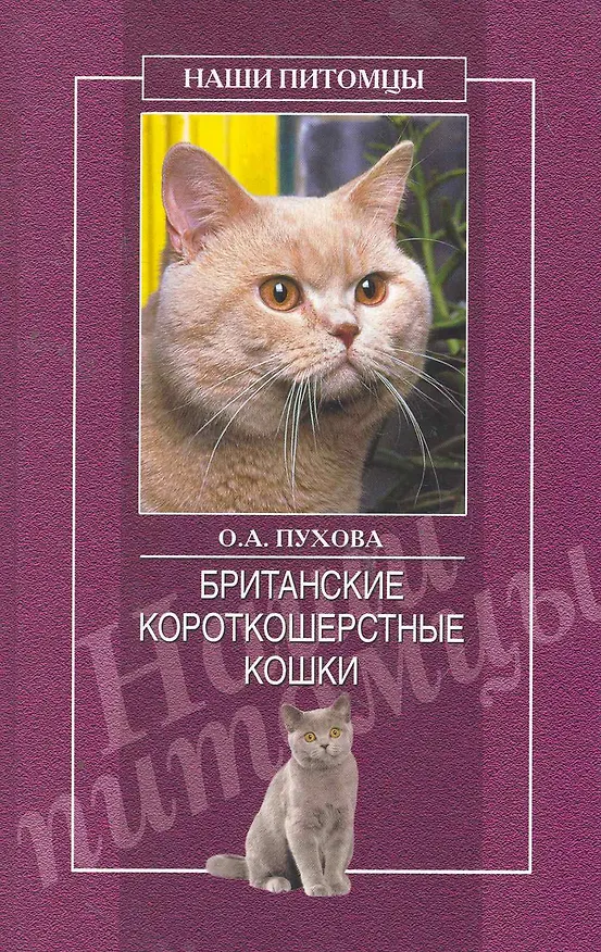 Книга Британские короткошерстные кошки () — 1