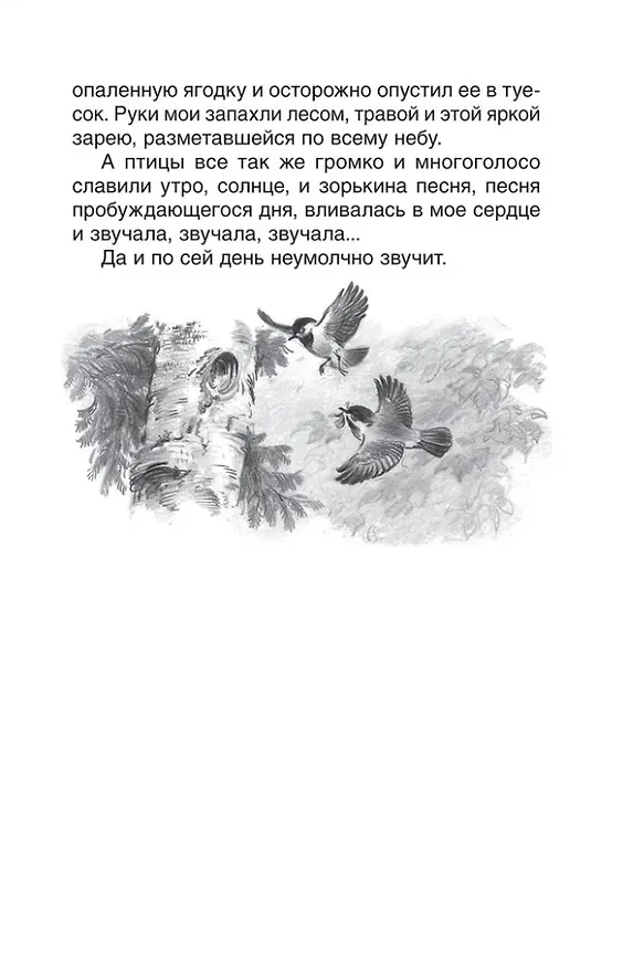 Книга Рассказы (Виктор Астафьев) — 4