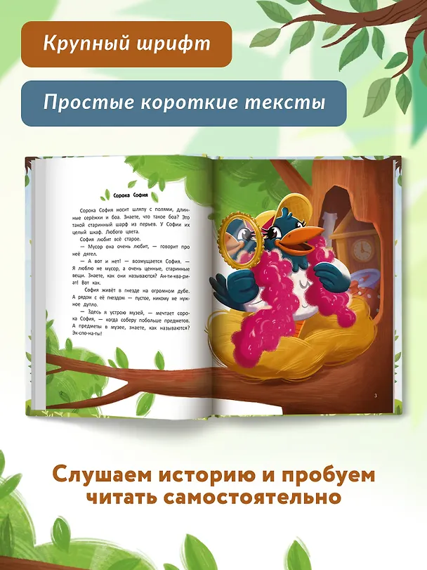 Книга Следствие ведет сорока София (Наталия Волкова) — 4