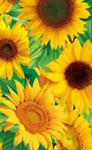 Закладка 3D 82 (Мир открытий)