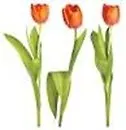 Наклейки Декоретто Тюльпаны красные маленькие (FE 2004) (23х28) 2310653