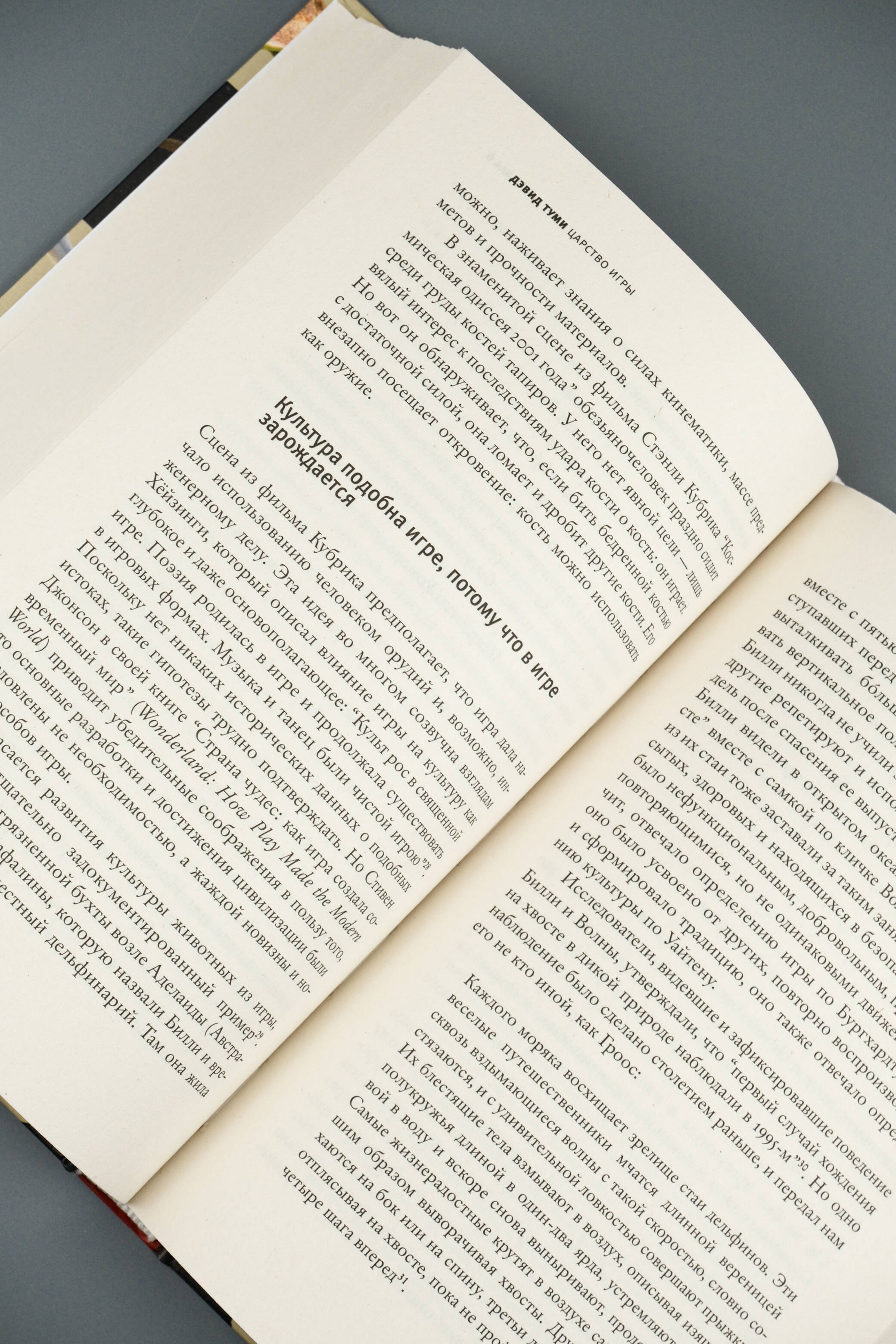 Изображение бумажной книги