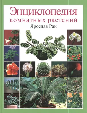 Энциклопедия комнатных растений — 128585 — 1