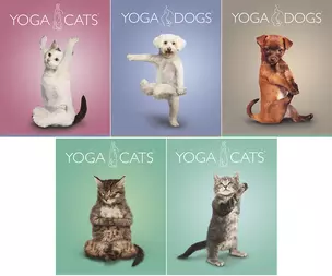 Тетрадь 40л кл. "Yoga Animals" двойн.УФ выб.лак, ассорти, Академия Групп — 226399 — 1