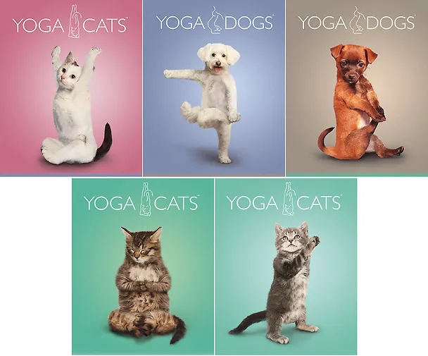 Тетрадь 40л кл. "Yoga Animals" двойн.УФ выб.лак, ассорти, Академия Групп 226399 — 1