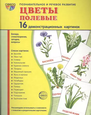 Дем. картинки СУПЕР Цветы полевые.16 демонстр.картинок с текстом(173х220мм) — 2453788 — 1