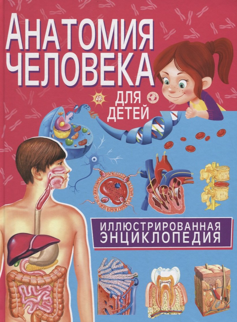 

Анатомия человека для детей. Иллюстрированная энциклопедия