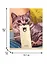 Тетрадь в клетку Unnika, "Кошачьи забавы", 48 листов, в ассортименте — 254939 — 2