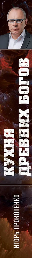 Книга Кухня древних Богов (Игорь Прокопенко) — 3