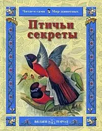 Птичьи секреты — 2192339 — 1