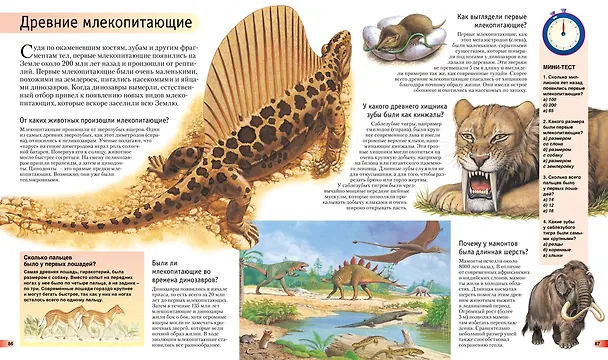Книга Новая Книга знаний в вопросах и ответах (Фелисити Брукс) — 7