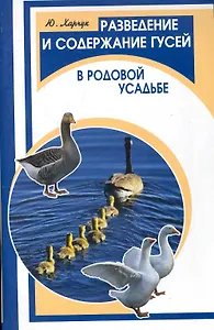 Разведение и содержание гусей в род.усадьбе