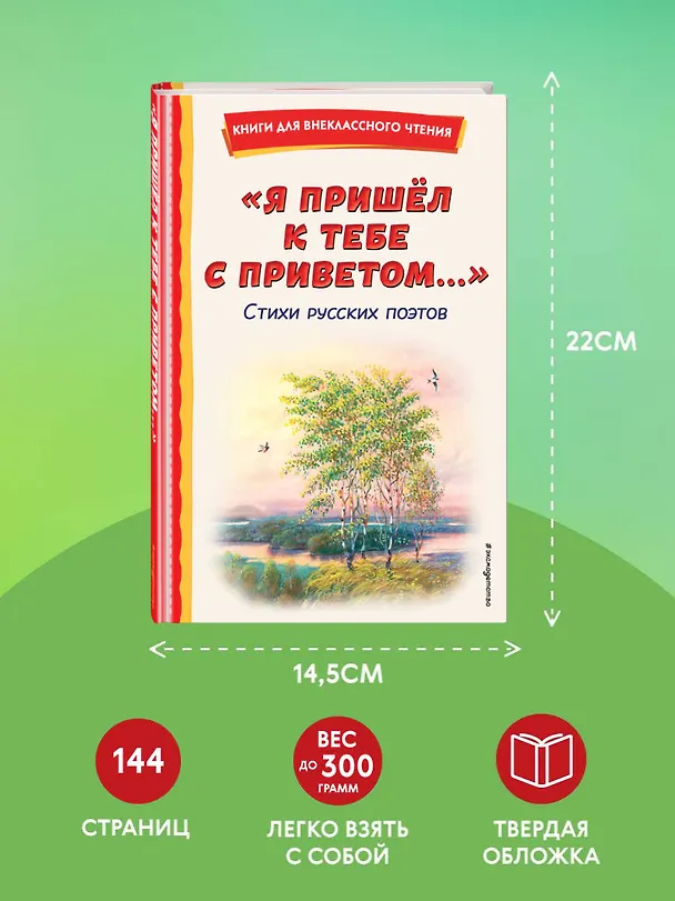 Книга "Я пришёл к тебе с приветом...". Стихи русских поэтов (ил. В. Канивца) (Афанасий Фет, Федор Тютчев, Александр Пушкин) — 10