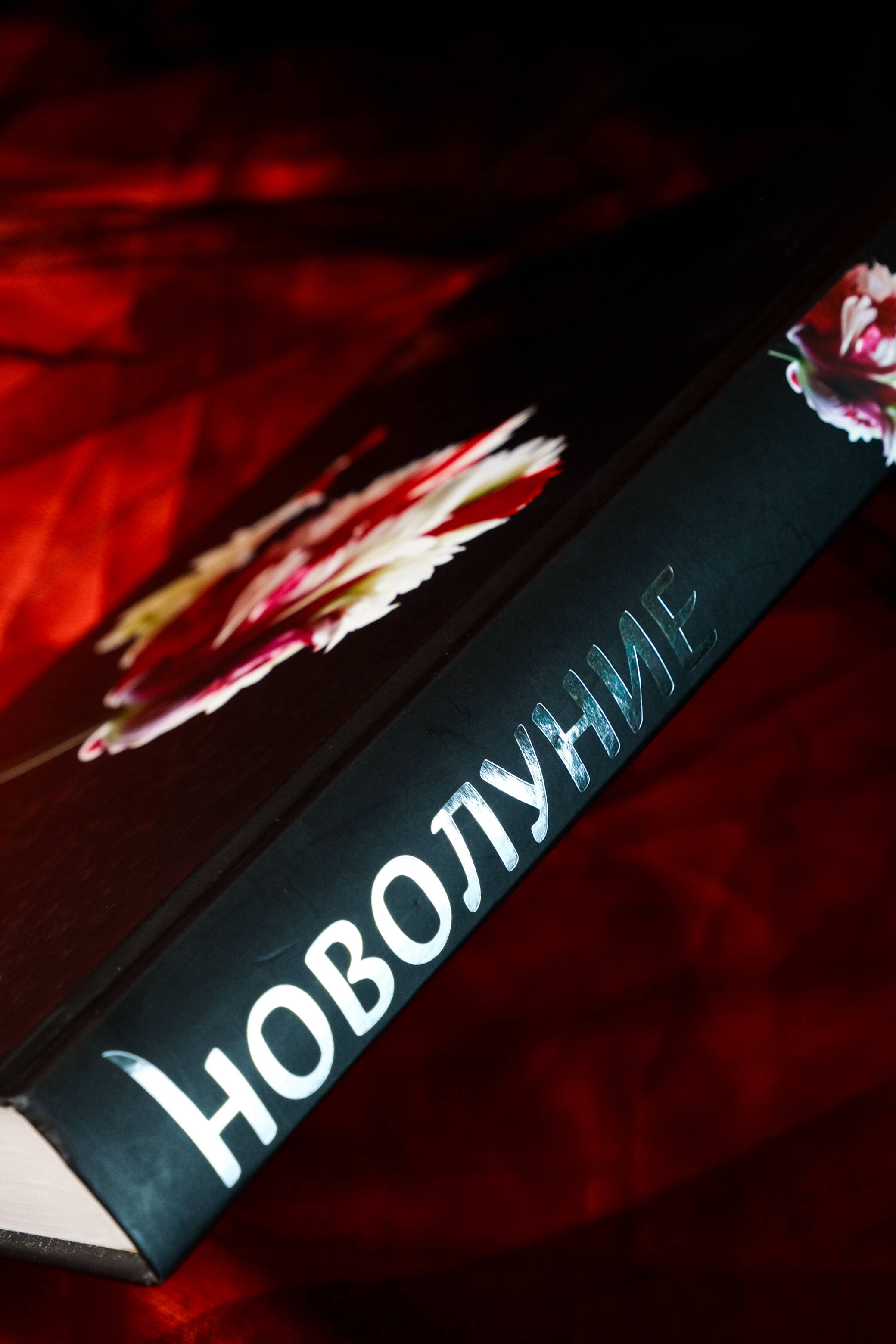 Изображение бумажной книги