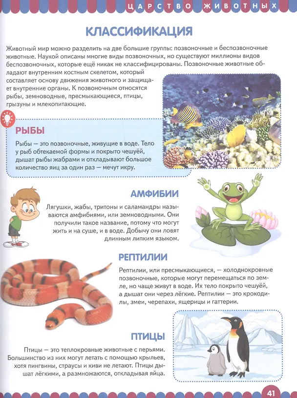 Книга Детская энциклопедия для умных девочек и мальчиков () — 5