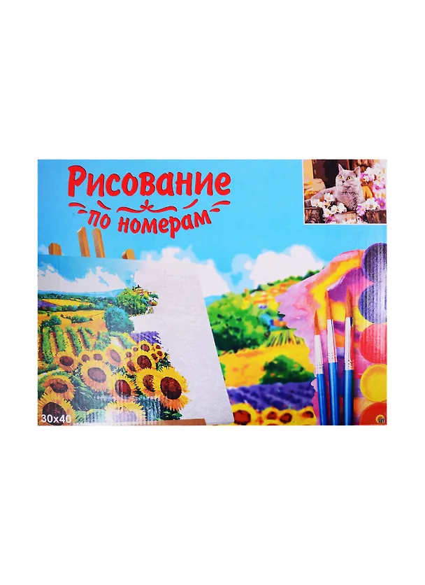 Набор д/творчества Рыжий кот Холст с красками 30х40см по номерам Британский кот в цветах Х-1751 2817244 — 2