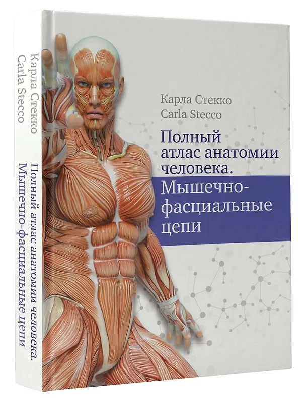 Книга Полный атлас анатомии человека. Мышечно-фасциальные цепи (Карл Стекко) — 4