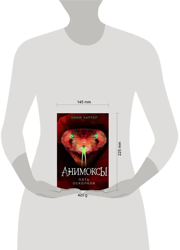 Книга Пять Осколков (#2) (Эйми Картер) — 14