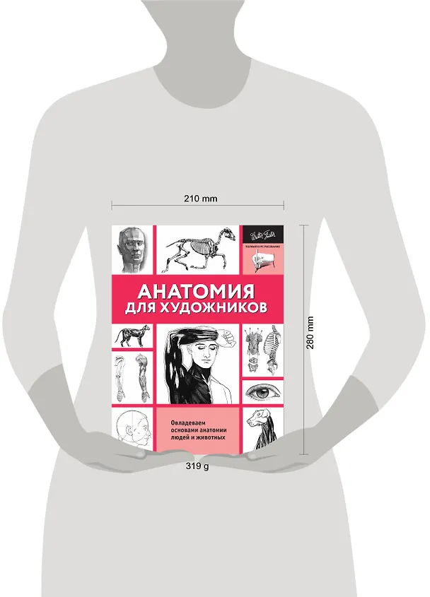 Книга Анатомия для художников () — 7