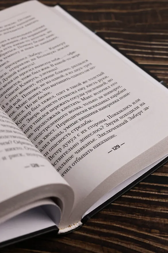 Книга Ломщик (Анатолий Дроздов, Анатолий Матвиенко) — 10