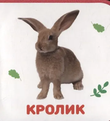 Книга Домашние животные () — 4